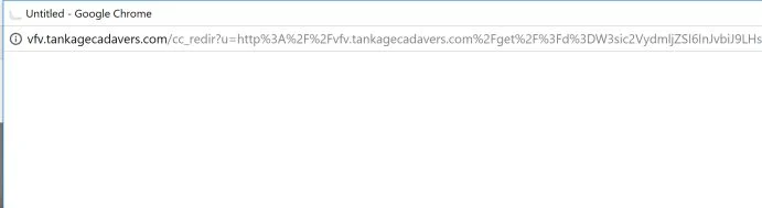 vfv.tankagecadavers.com virus
