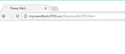 Topnewsflash.0765.ws virus