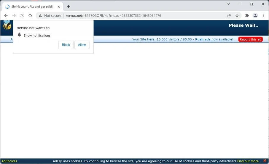 Image: Chrome browser is redirected to Xervoo.net