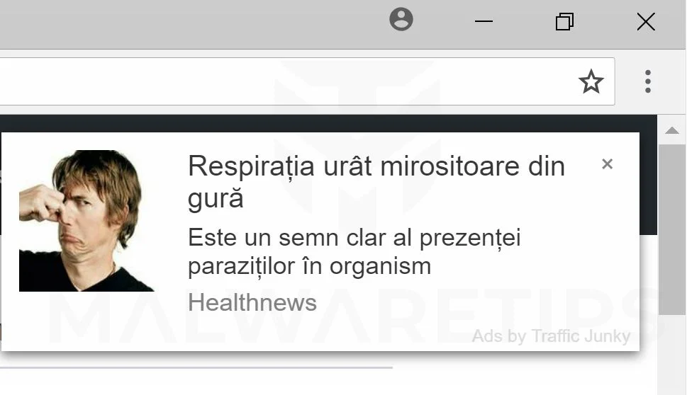Ads by Traffic Junky adware