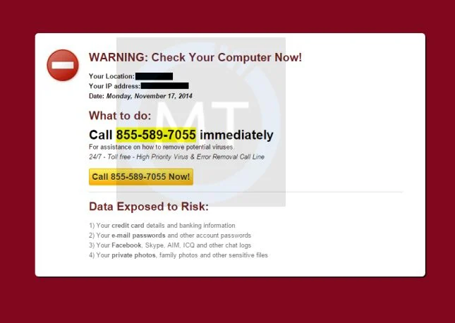 Warning! Check Your Computer Now virus