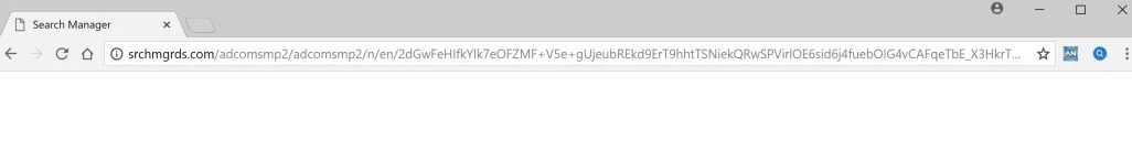 srchmgrds.com redirect virus