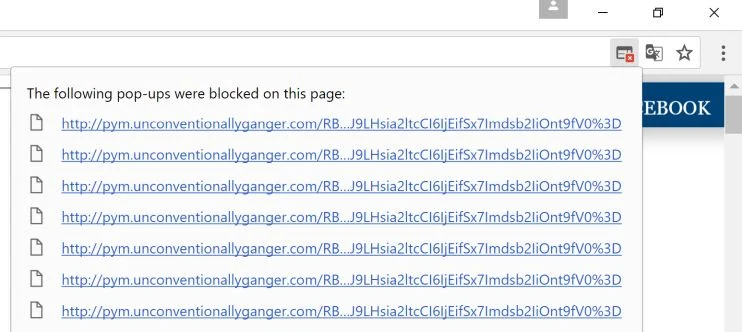 pym.unconventionallyganger.com virus