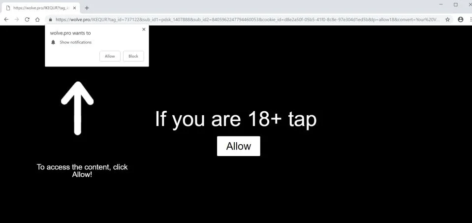 Image: Chrome browser is redirected to the Ms.pushit.work site