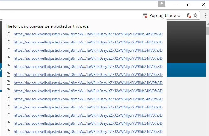 iav.soukwelladjusted.com redirect