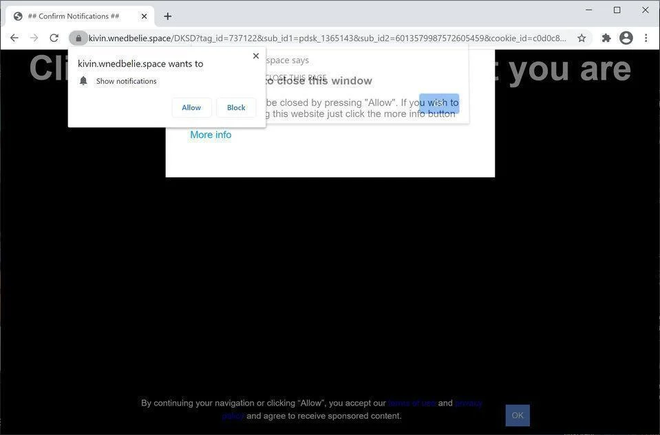 Remove Wnedbelie.space pop-up ads (Virus Removal Guide) 1 Image: Chrome browser is redirected to Wnedbelie.space