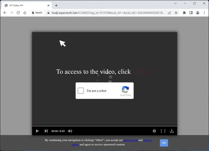 Remove Aspectsofc.hair Ads (Virus Removal Guide) 1 Image: Aspectsofc.hair Ads