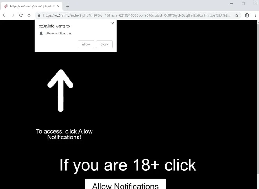 oz0n.info redirect virus