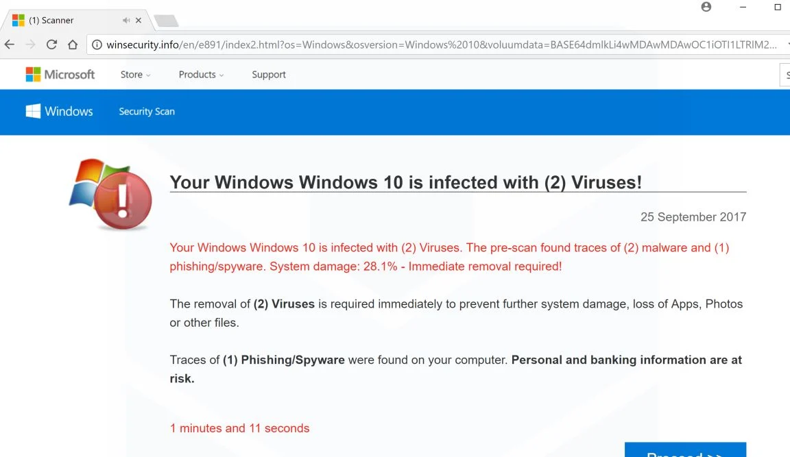 winsecurity.info scam virus