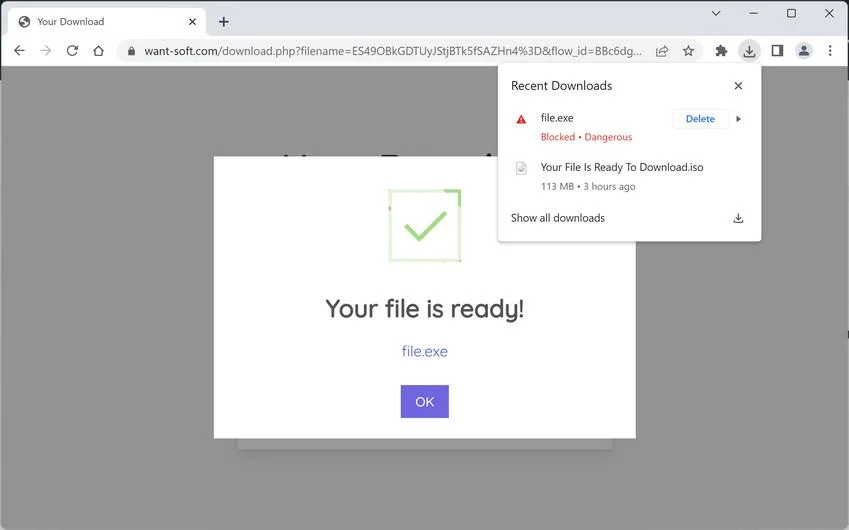 How To Remove File.exe Trojan (Virus Removal Guide) 1 Image: File.exe malware