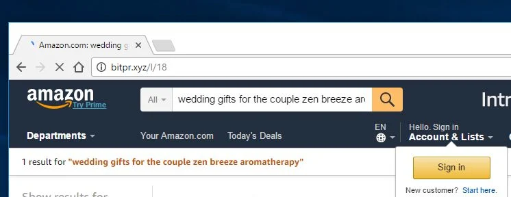 bitpr.xyz virus