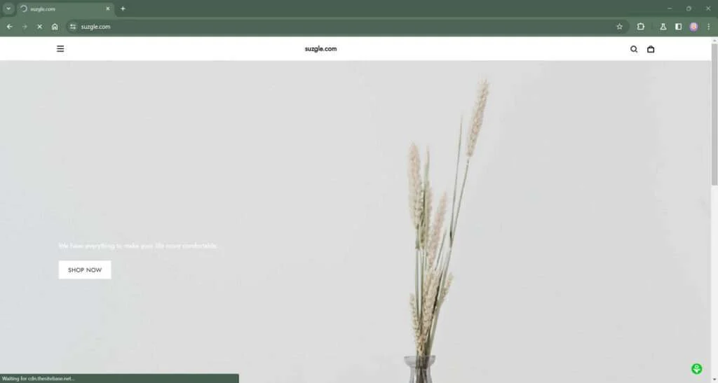 Suzgle.com Shop Scam - The Telltale Signs of This Fraudulent Store 1 suzgle.com scam
