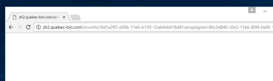 zh2.quebec-bin.com virus