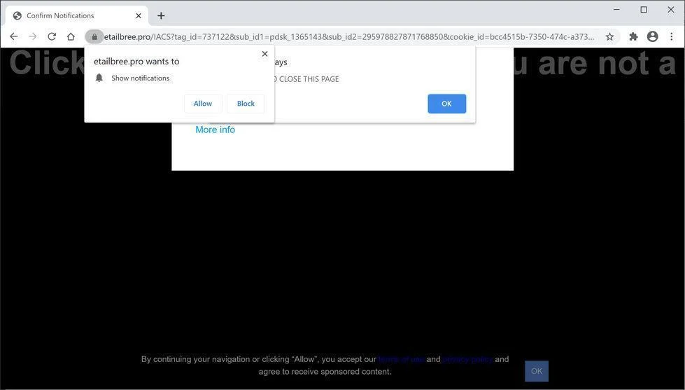 Remove Etailbree.pro pop-up ads (Virus Removal Guide) 1 Image: Chrome browser is redirected to Etailbree.pro