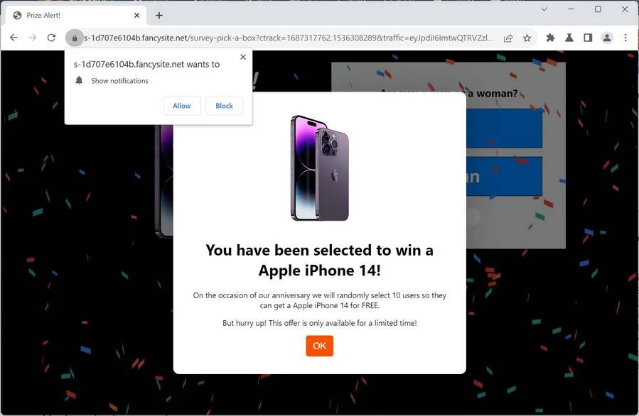 fancysite.net scam