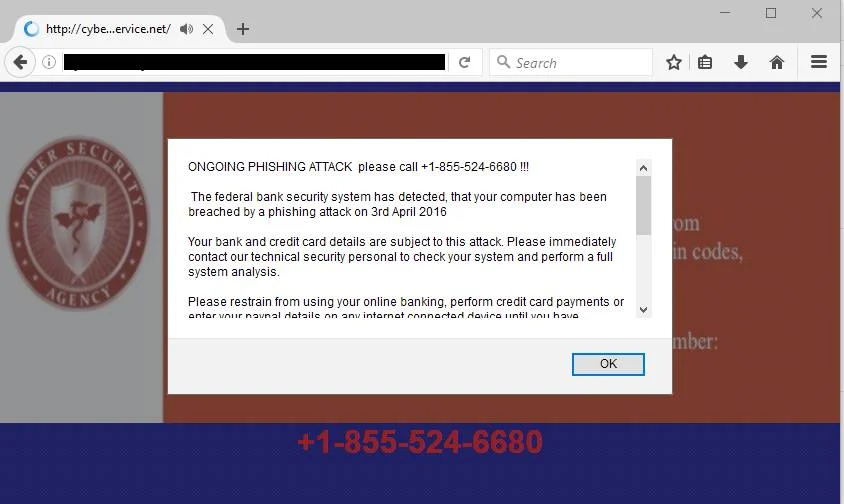 cybersecurityservice.net scam