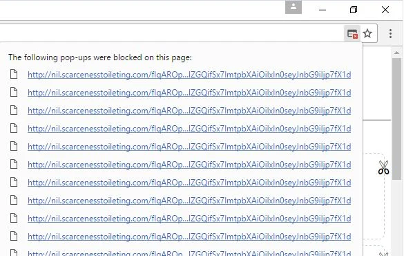 nil.scarcenesstoileting.com redirect virus