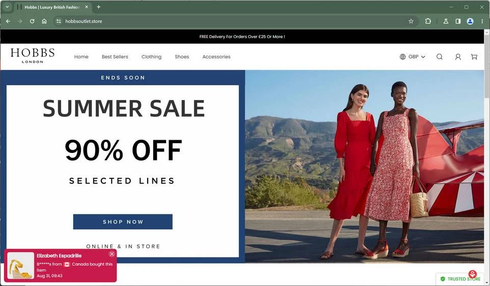 hobbsoutlet.store SCam