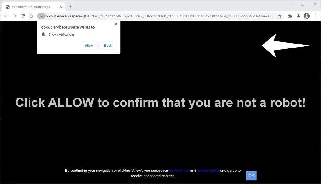 Image: Chrome browser is redirected to Ervicepri.space