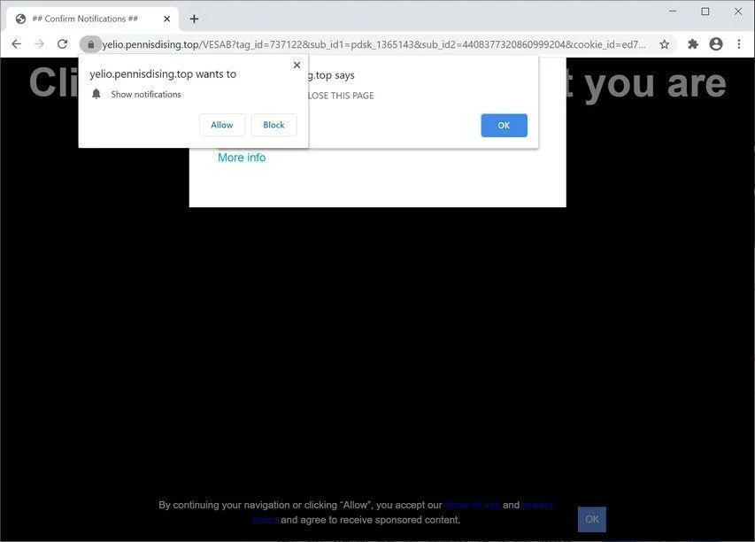 Image: Chrome browser is redirected to Pennisdising.top