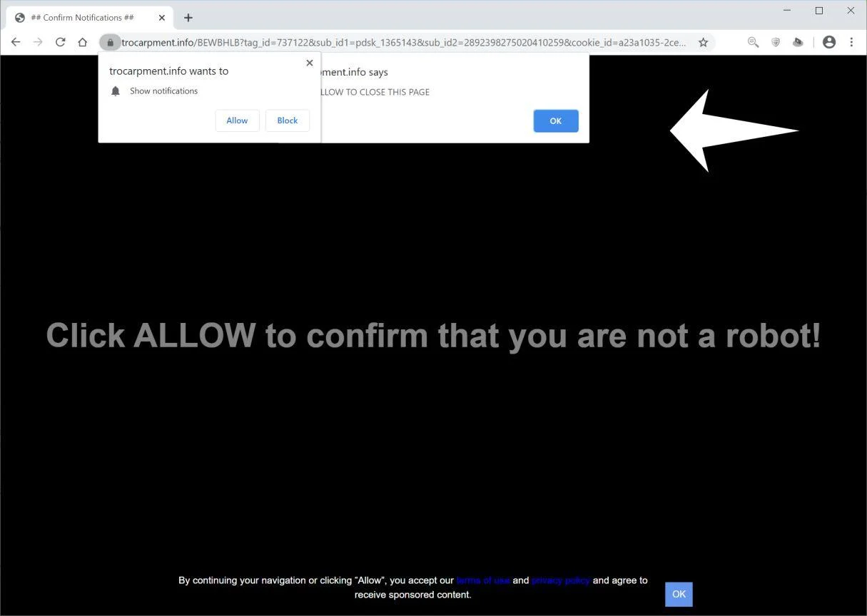Remove Trocarpment.info pop-up ads (Virus Removal Guide) 1 Image: Chrome browser is redirected to Trocarpment.info