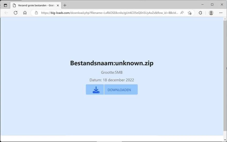 Image: Big-loads.com Ads