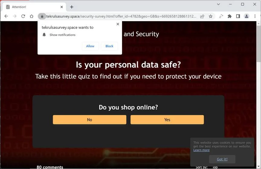 tekrulsasurvey.space ads