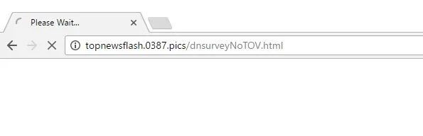 topnewsflash.0387.pics virus