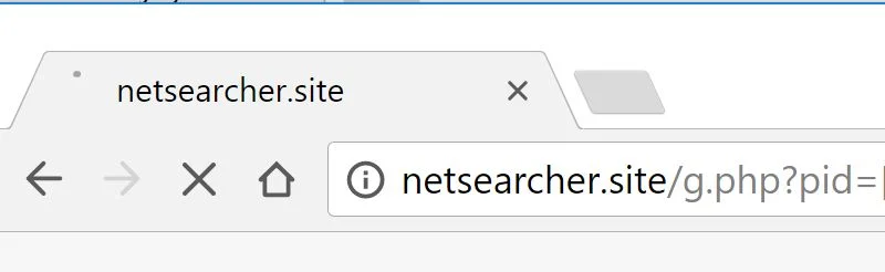netsearcher.site redirect virus