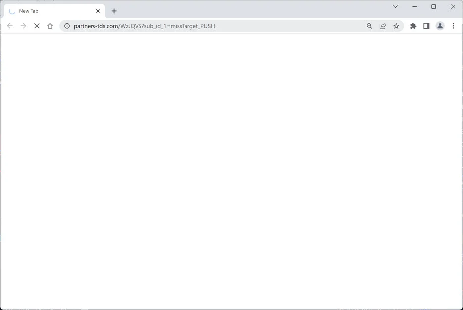 Image: Chrome browser is redirected to the Partners-tds.com site