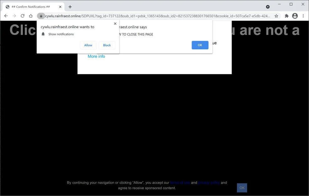 Image: Chrome browser is redirected to Rainfraest.online