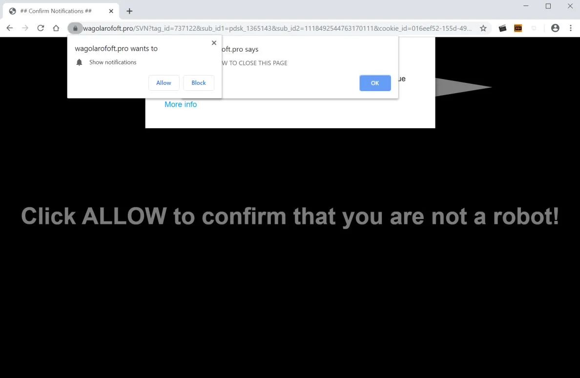Image: Chrome browser is redirected to Wagolarofoft.pro