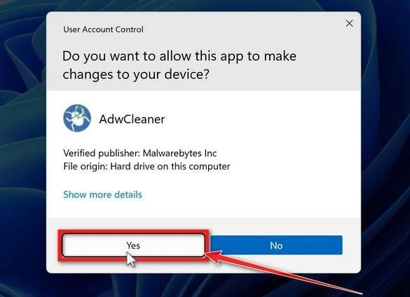 Windows ask if you want to run AdwCleaner