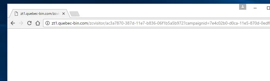 zt1.quebec-bin.com virus