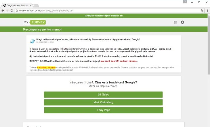 newbornkittens.online virus