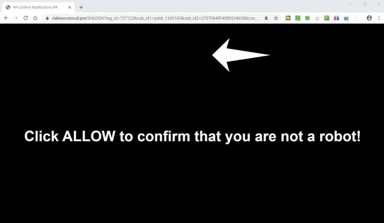 How to remove Rialseerunmud.pro pop-up ads (Virus Removal Guide) 1 Image: Chrome browser is redirected to Rialseerunmud.pro