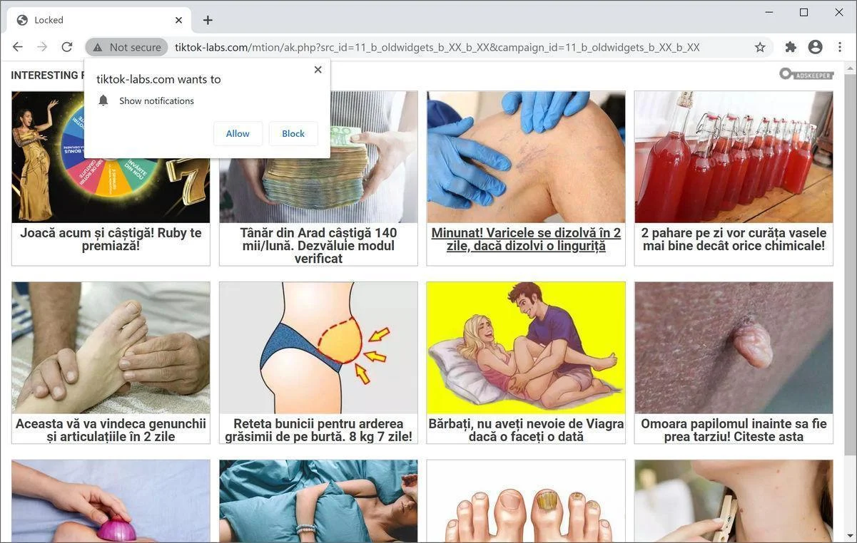 Image: Chrome browser is redirected to Tiktok-labs.com