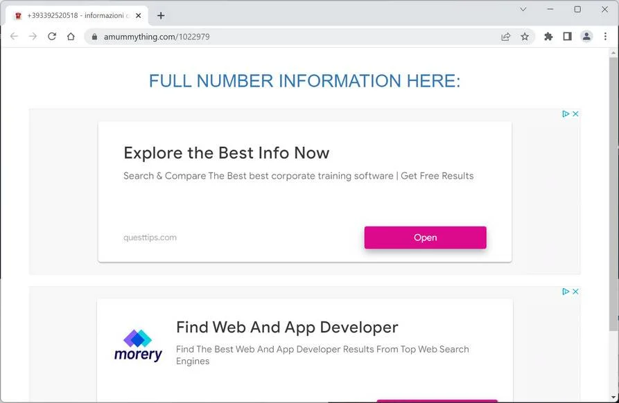 Image: Amummything.com Ads