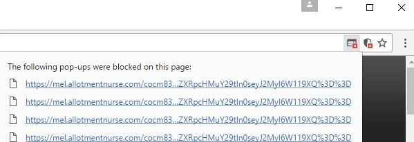 mel.allotmentnurse.com virus