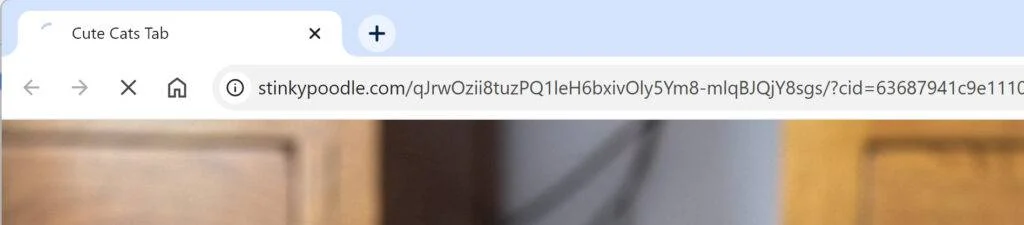 Stinkypoodle.com virus