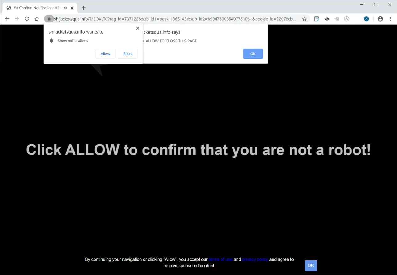 How to remove Shijacketsqua.info pop-up ads (Virus Removal Guide) 1 Image: Chrome browser is redirected to Shijacketsqua.info