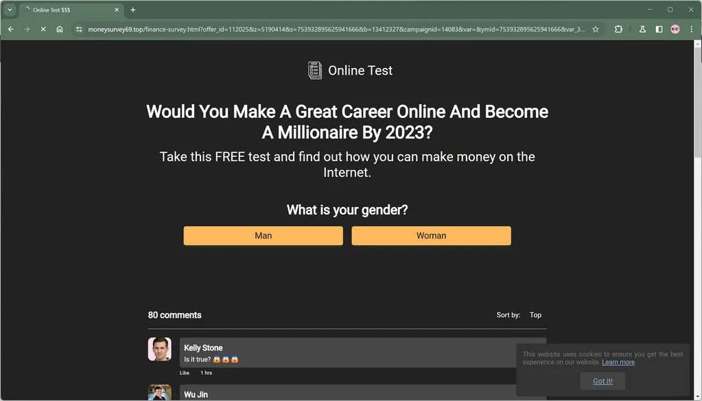 moneysurvey69.top malware
