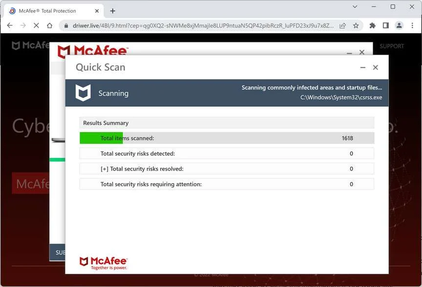 Image: Chrome browser is redirected to Driwer.live