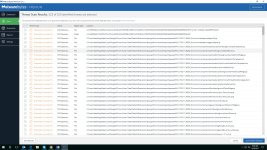 Google Crome Malwarebytes Results.jpg