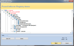Revo Uninstaller Pro leftover registry.png