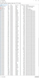 SVCHOST many running and F drive has activity.jpg