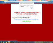 virus screenshot.png