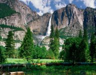 Yosemite-National-Park-41.jpg