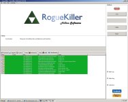 RogueKiller Screenshot.JPG