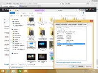RogueKiller V13 Bug 01.jpg